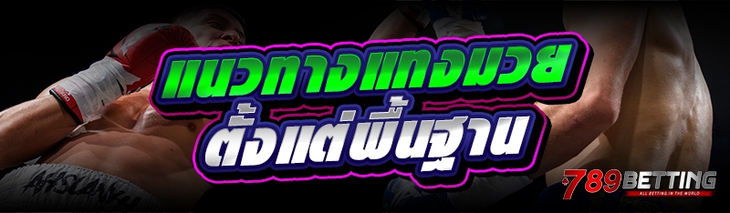 แนวทางแทงมวย ตั้งแต่พื้นฐาน